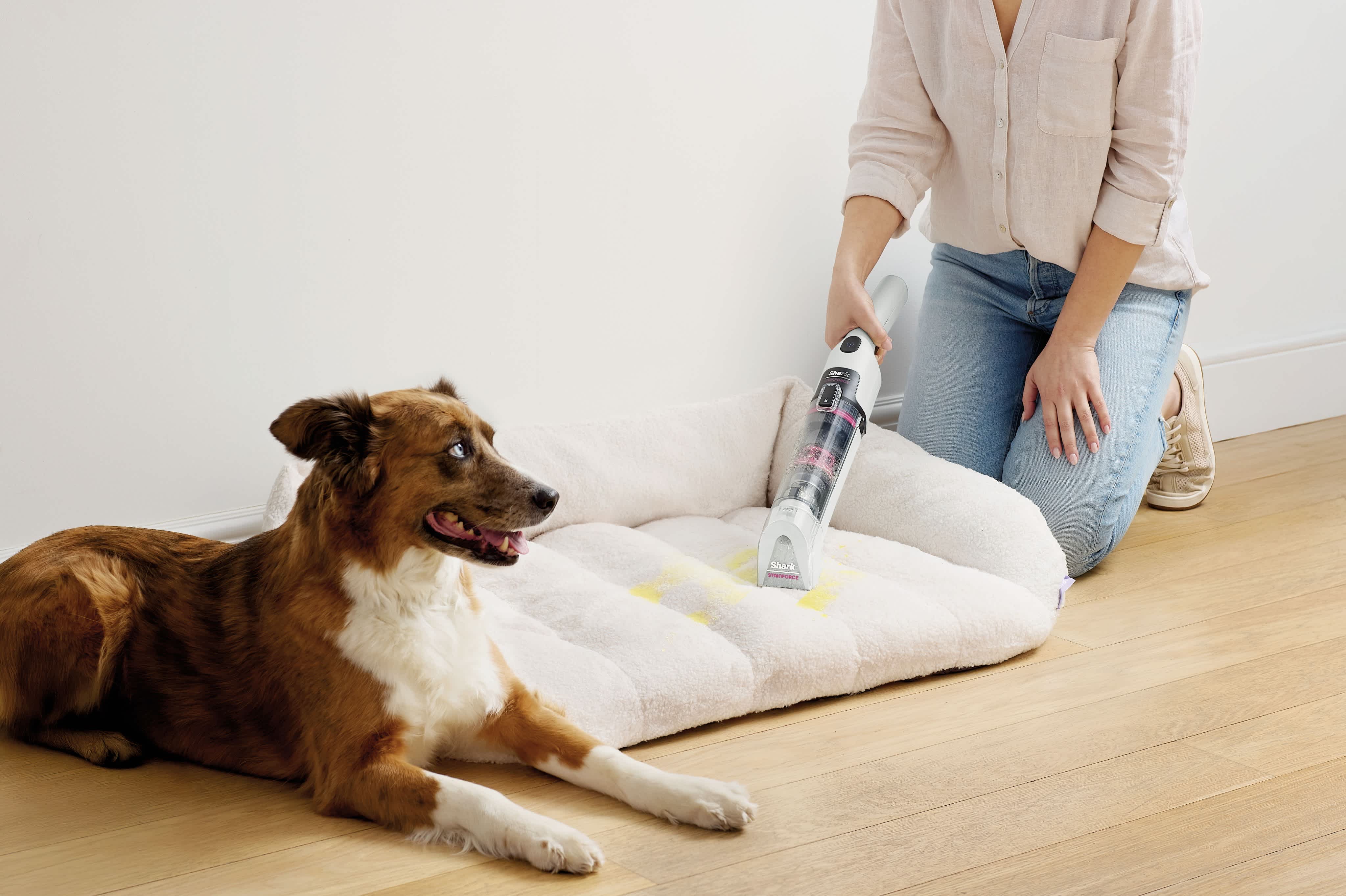 Person using a Shark StainForce cordless handheld to clean spills from a dog's bed