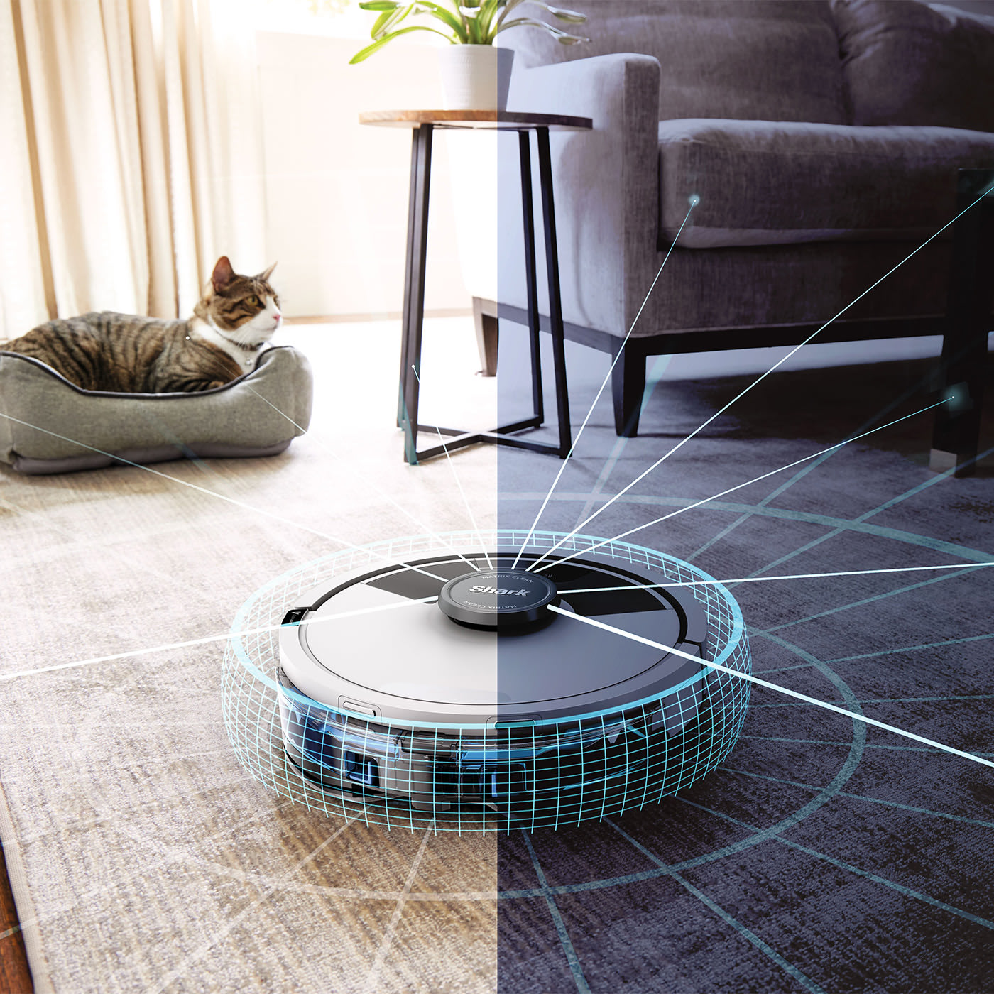 Suction power + sonic mopping