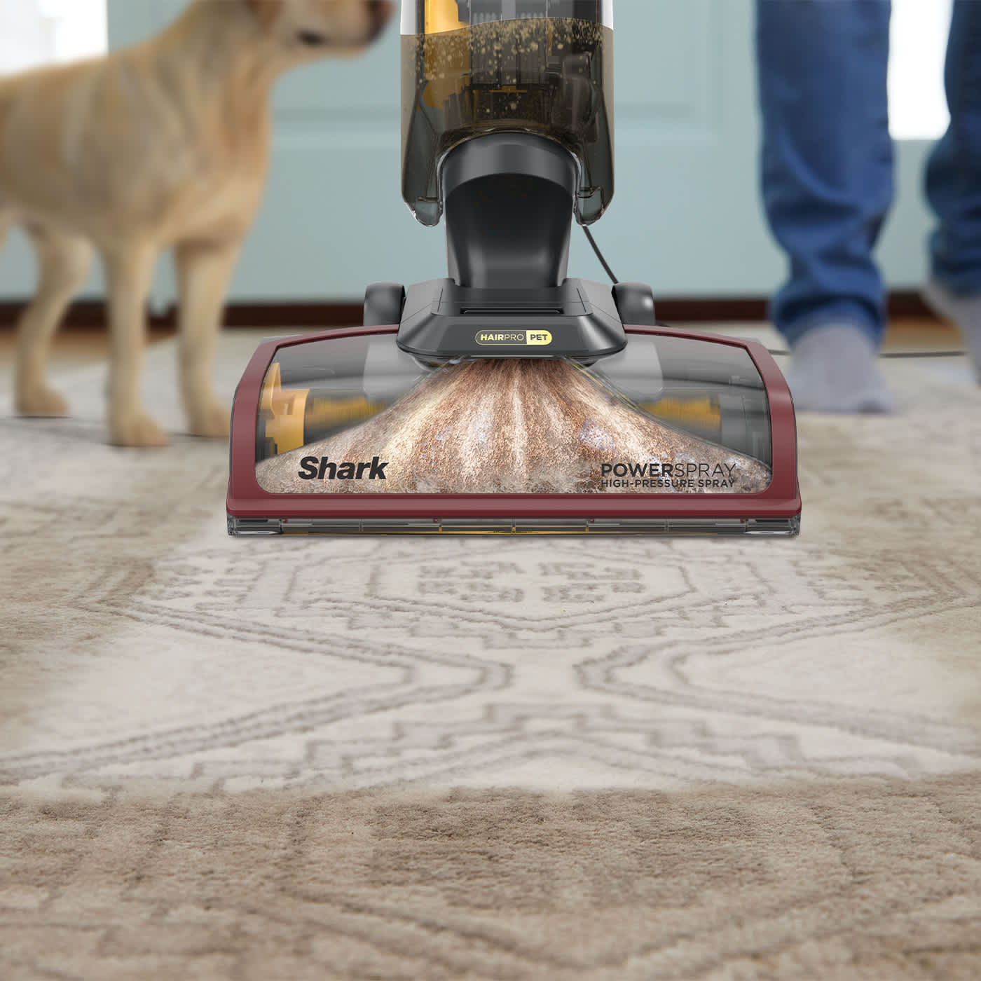 Built for homes with pets