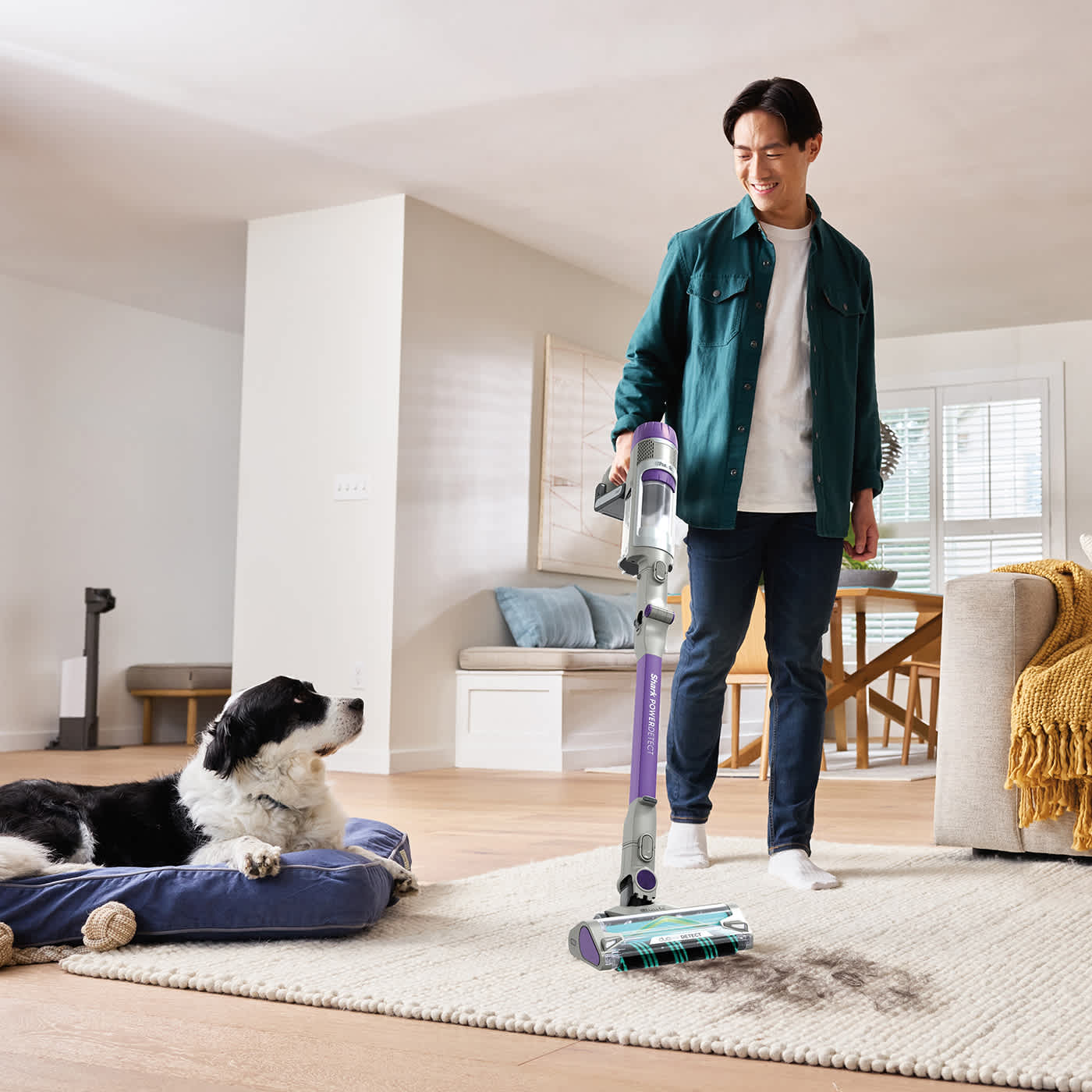 Person vacuuming a rug with a Shark cordless stick, dog watches from a bed as dirt is picked up.