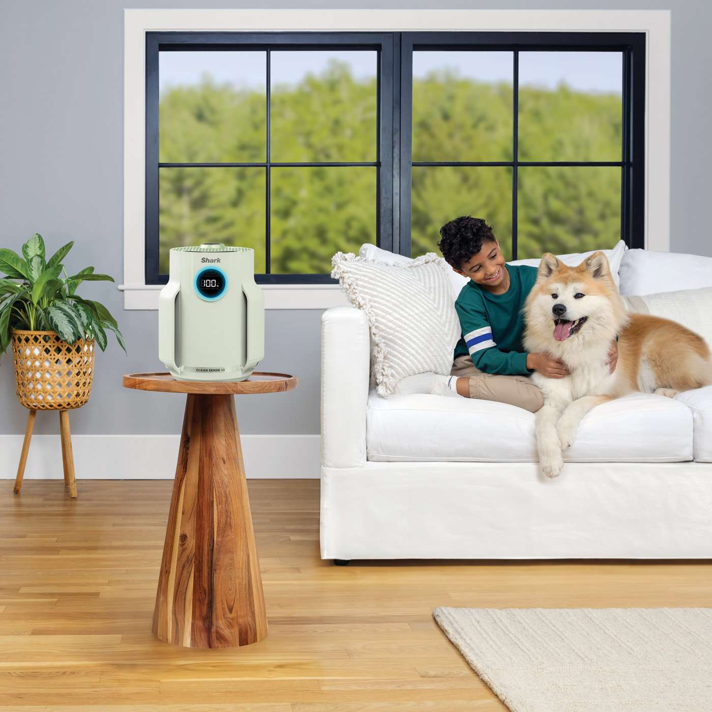 Anti-Allergen Filtration & Anti-Odour Technology