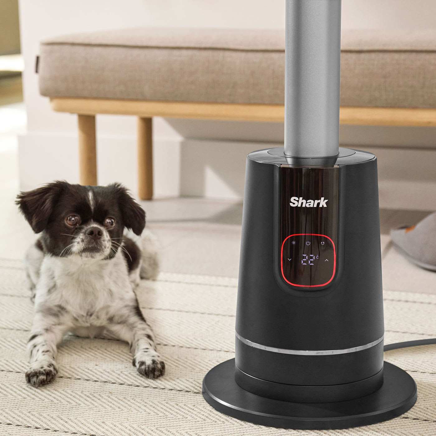 Small black and white dog lying on a rug next to the base of a Shark Turbo Blade cool and heat fan with a digital display showing 22 degrees